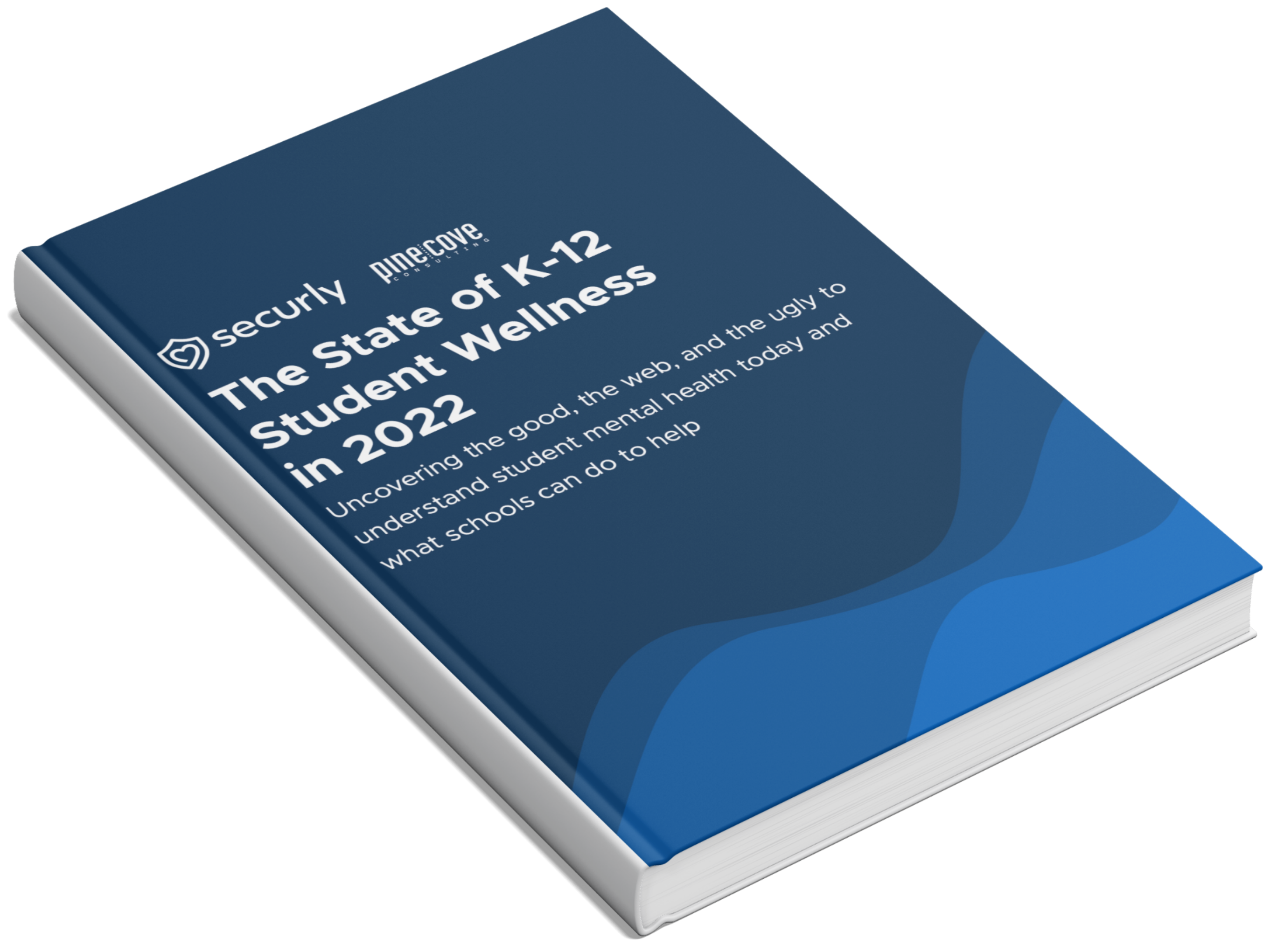 State of K-12 Student Wellness in 2022